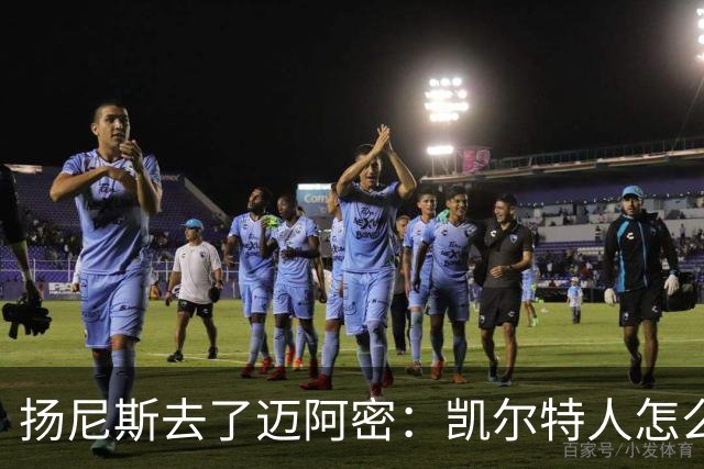 扬尼斯去了迈阿密：凯尔特人怎么办？
